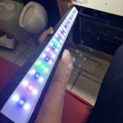 Hygger Aqurium Light 31 Inch 