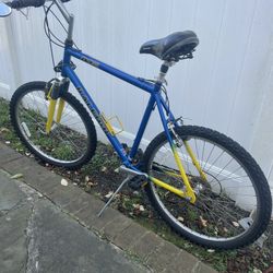 Raleigh Men’s Bike 
