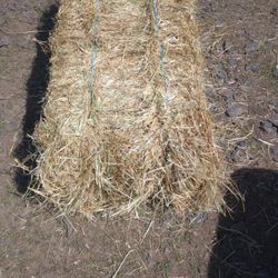 Hay