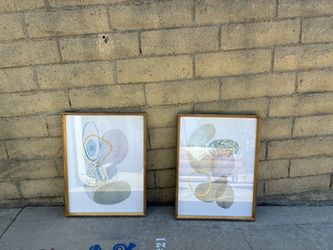 Set of 2 Abstract Framed Art Prints
