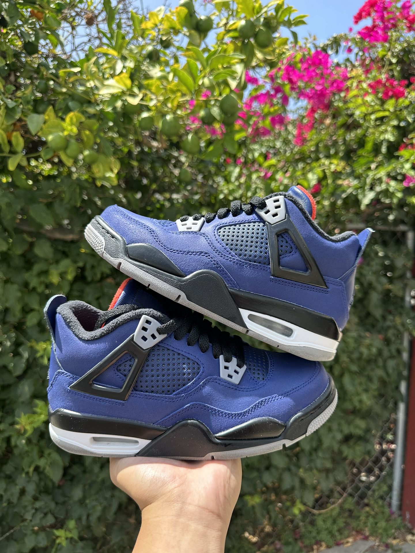 jordan 4 winterized loyal blue