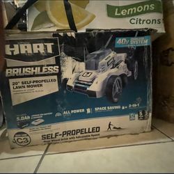 Lawnmower