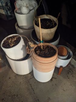 Lots of Pots