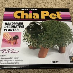 Chia Pet