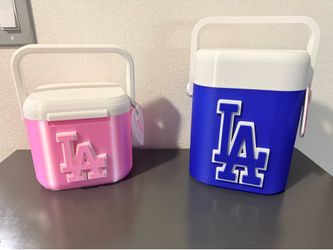 LA MINI COOLERS $25 EA.