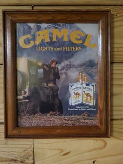 Camel Cigarette