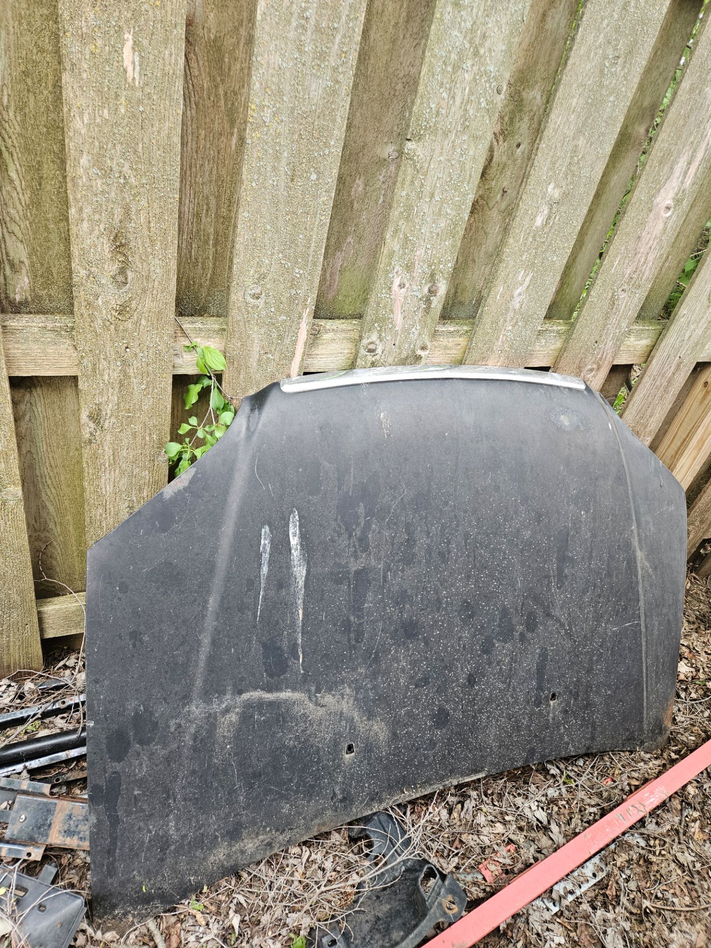 Honda civic hood 01-03
