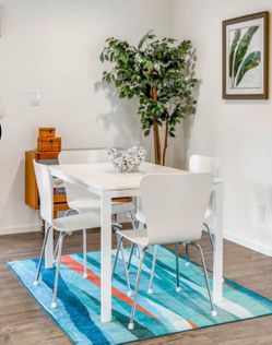 4 Bentwood Dining Chairs – White Mid-Century Modern Style