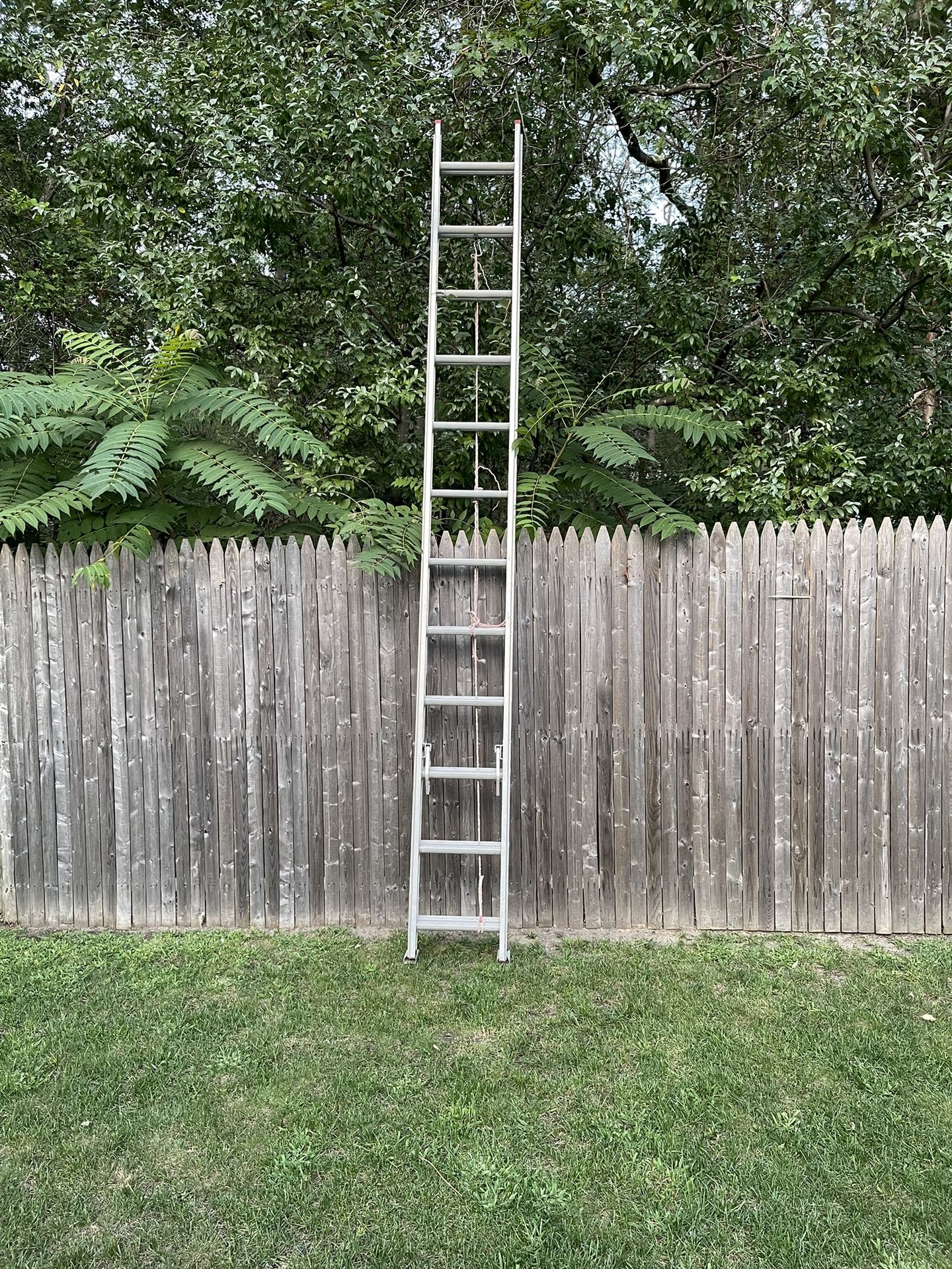Ladder