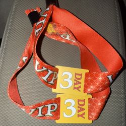 SummerSmash 2025 (SUNDAY ONLY VIP) $250 EACH
