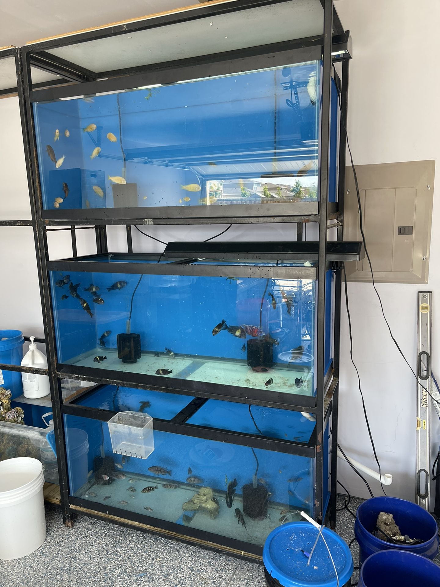 Aquarium Rack System for Sale in San Antonio, TX - OfferUp