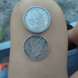 Silver Dollars