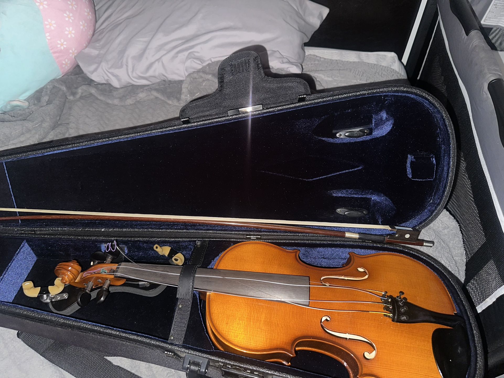 Violin With Case