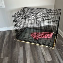 Dog Kennel 