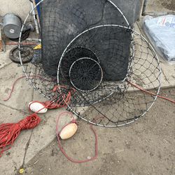 Lobster Net 