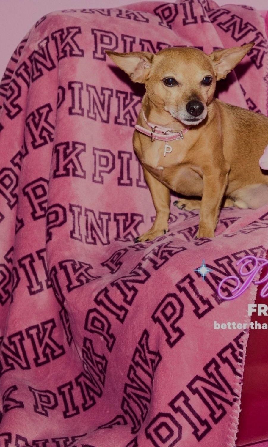 Victoria’s Secret Blanket
