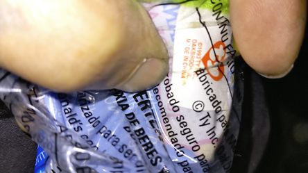 Teenie Beanie Babies 