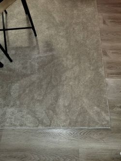 Tan/beige Area Rug 8 By 10