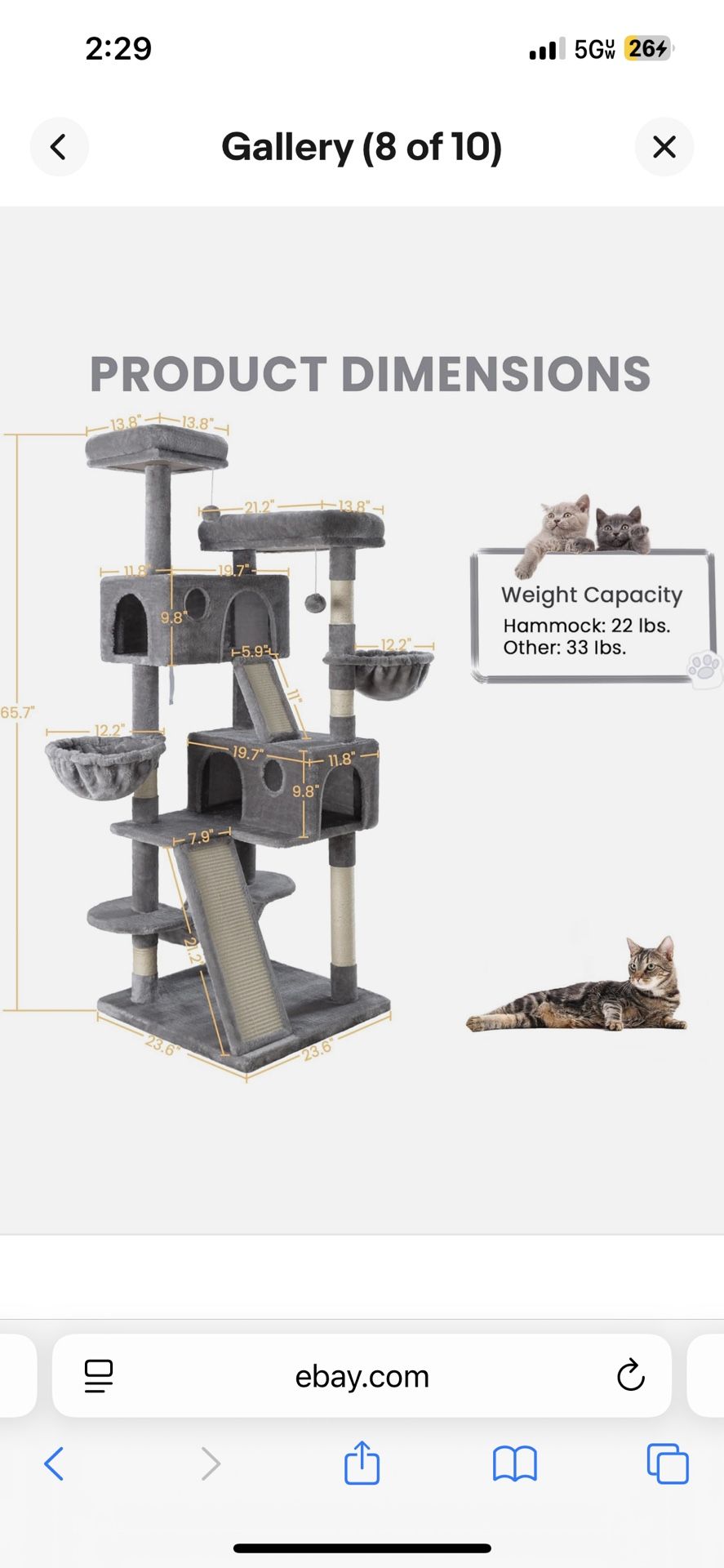 Brand New Extra Large Cat  Tree  For $80 