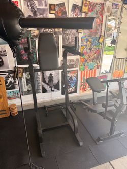 Body solid dip station