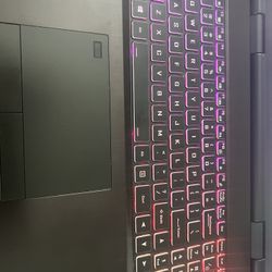 FALCON NORTH WEST DRX LAPTOP OBO