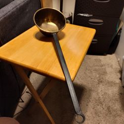 Water Dipper