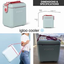 Igloo Cooler