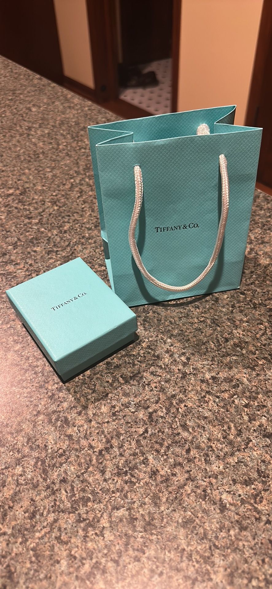 Tiffany & Co Box And Bag