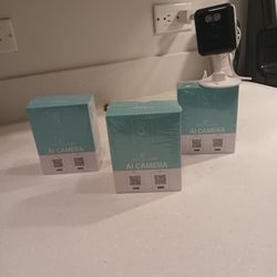 Indoor/Outdoor Security Cameras Set Of 3