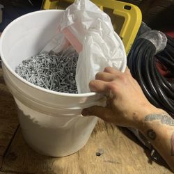 5 Gallon Bucket Of Screws 