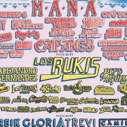 2 Tikets Ga  para festival Besame Mucho 