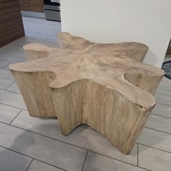 Teak Wood Tree Stump Trunk Table Coffee Living Room Large Rustic Design Organic Natural