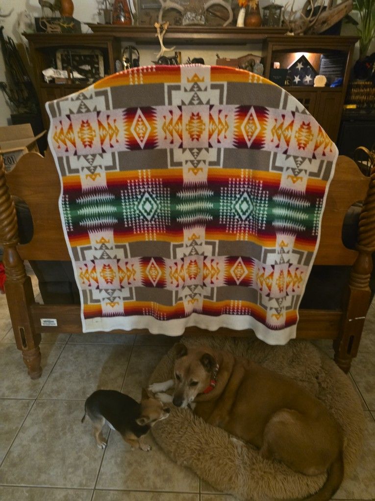 Vintage Wool Beaver State Single Or Twin Blanket