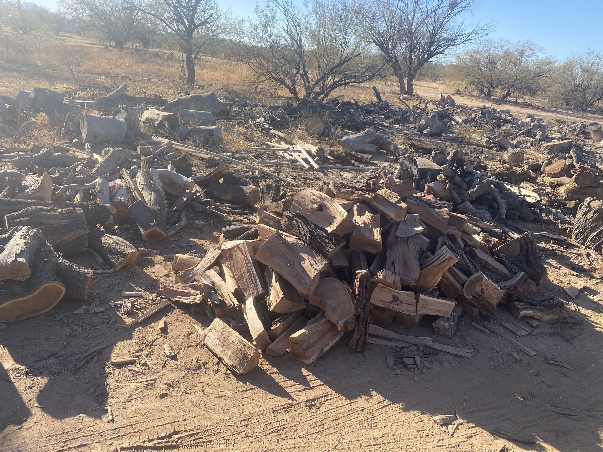 Firewood