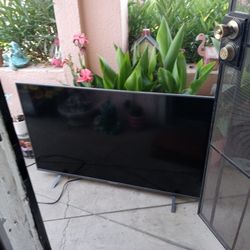 48" Element Fire TV w/wall mount & Remote