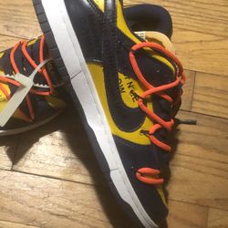 Nike Jordan Retro Dunks 