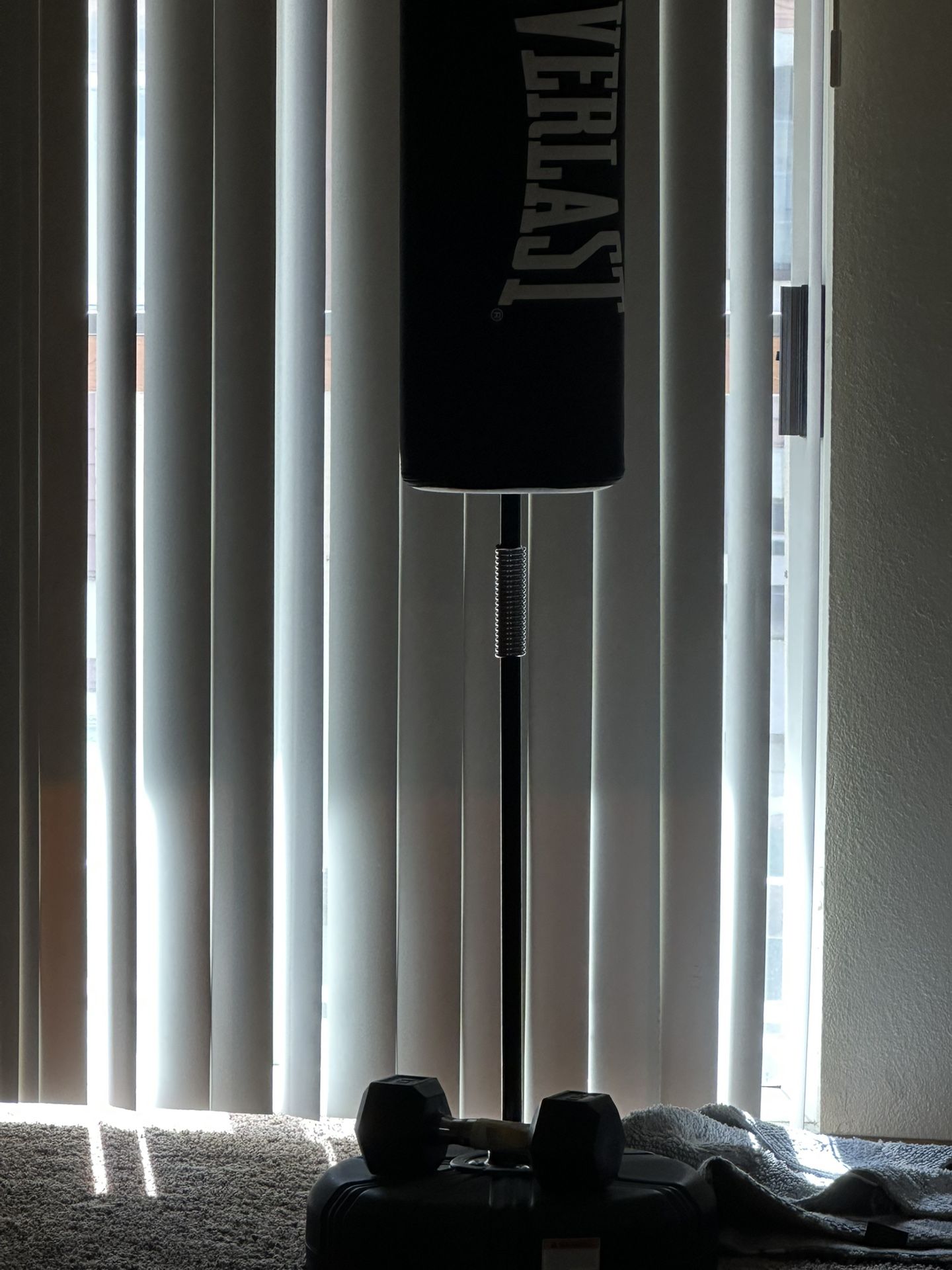 Punching Bag