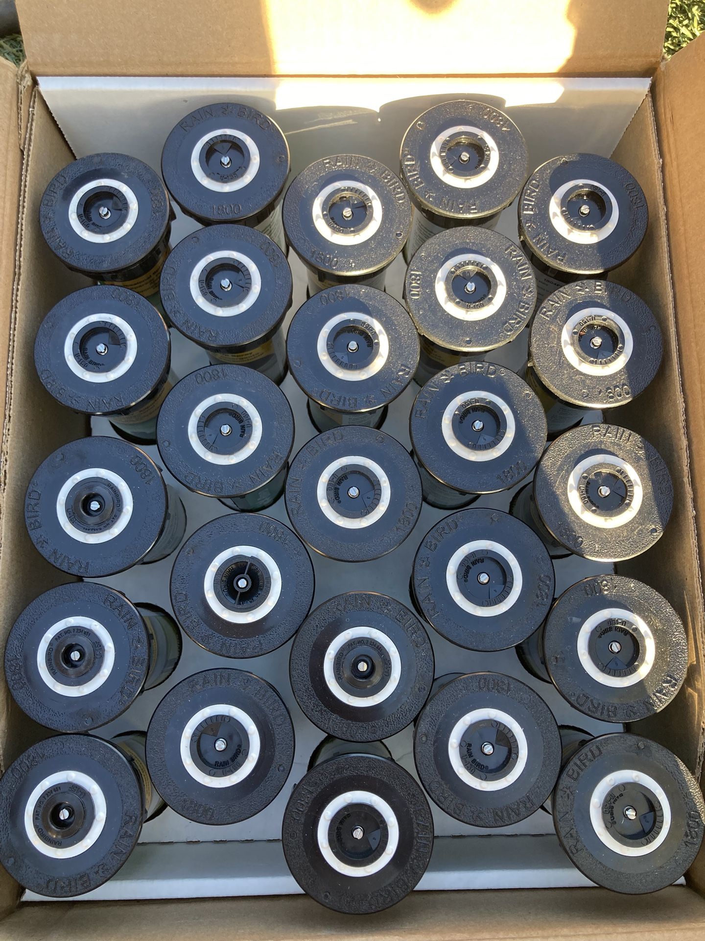 Lawn Sprinklers Grass