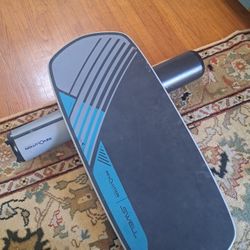 Revolution SWELL Balance Board