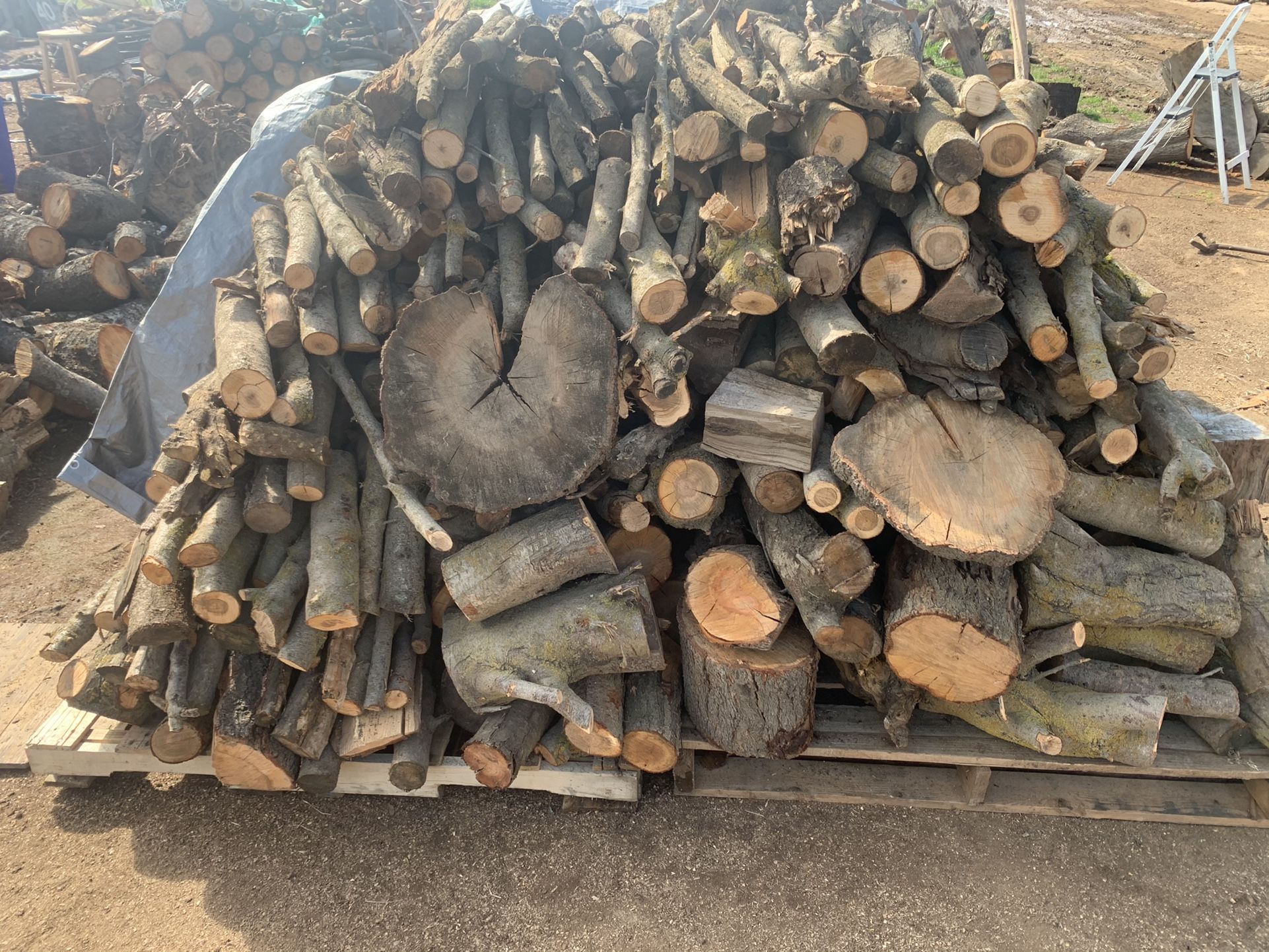 Dry Firewood!!!On The Go!!!