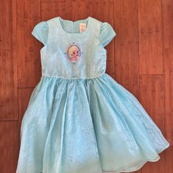 Frozen costume