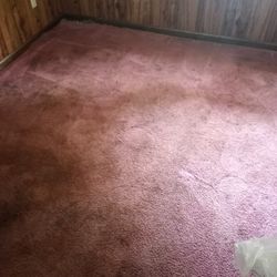 Dirty Carpet Cleaner 