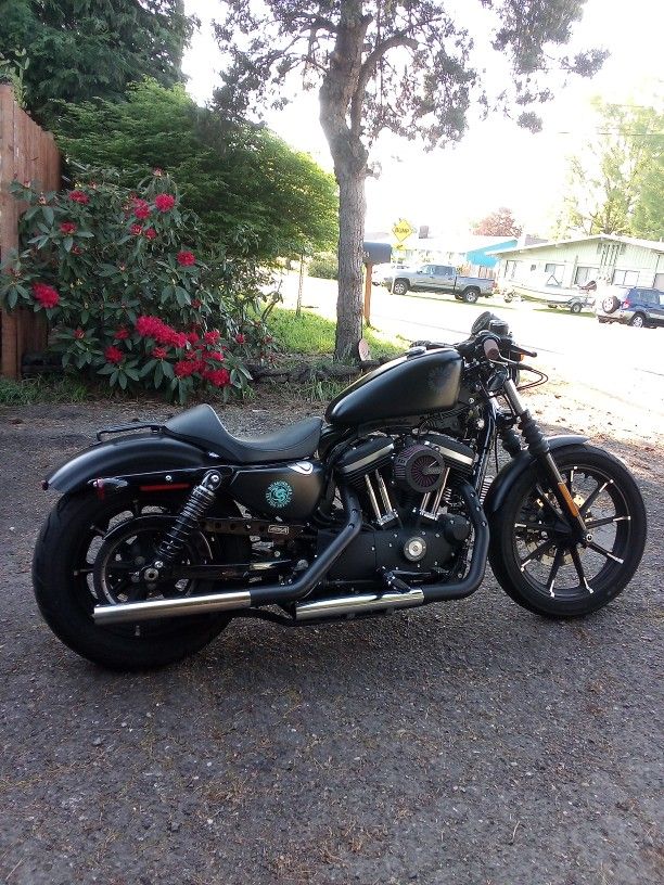 2019 Harley Davidson Sportster iron