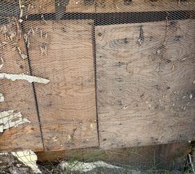 Free Bees In Easy to Access Plywood And Mesh Wall Penasquitos 92129