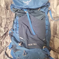 Osprey Ace 50 Youth Backpack 