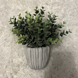 Small Faux Plant