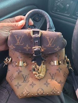 Louis Vuitton camera bag