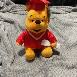 Winnie the Pooh Graduation Plush