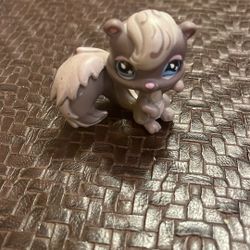 Littlest Pet Shop LPS Hasbro # 484 Gray Squirrel Skunk Blue Flower Teardrop Eyes