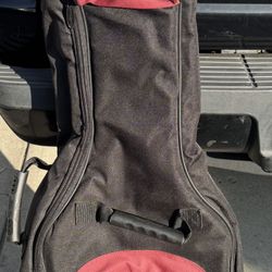 Guitar Case Road Runner 